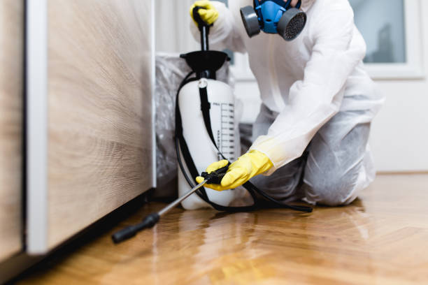 Best Termite Control Services  in St Paul, VA
