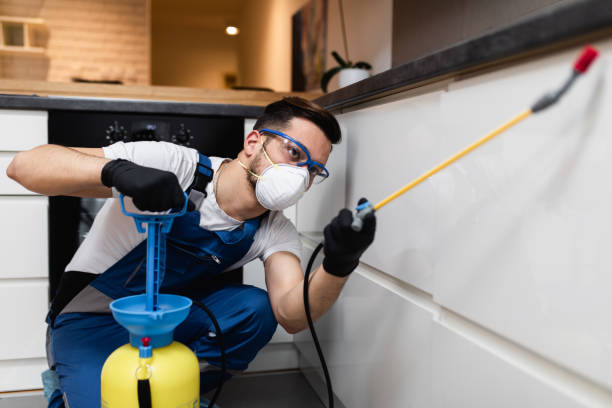 Best Cockroach Control Services  in St Paul, VA