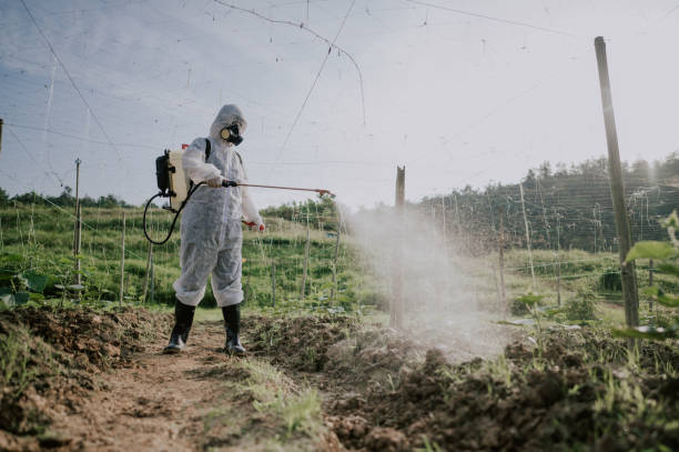 Best Commercial Pest Control Services  in St Paul, VA