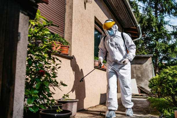 Pest Control Cost in St Paul, VA
