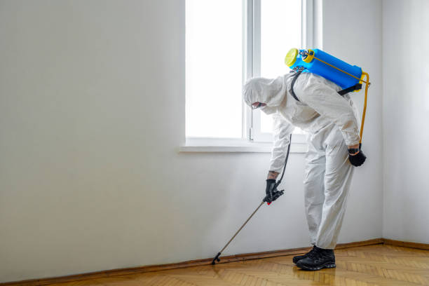 Best Pest Control Near Me  in St Paul, VA