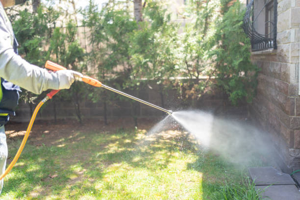  St Paul, VA Pest Control Pros