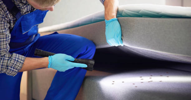 Best Pest Control for Businesses  in St Paul, VA
