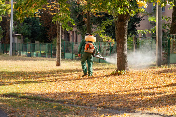  St Paul, VA Pest Control Pros