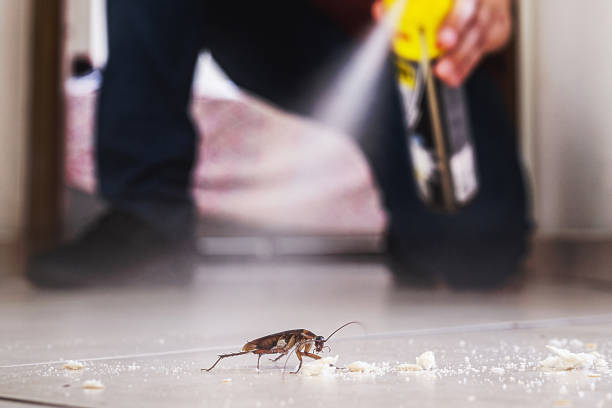 Best Wildlife Control Services  in St Paul, VA