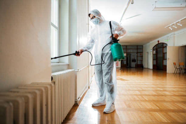 Best Affordable Pest Control Services  in St Paul, VA
