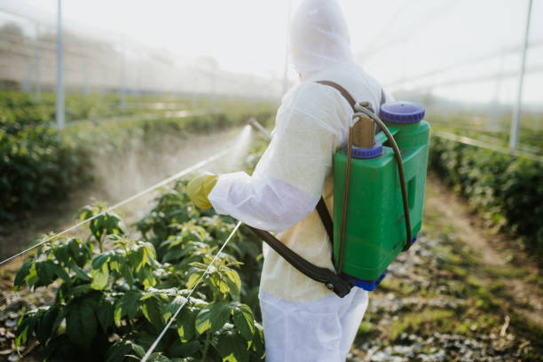 St Paul, VA Pest Control Company